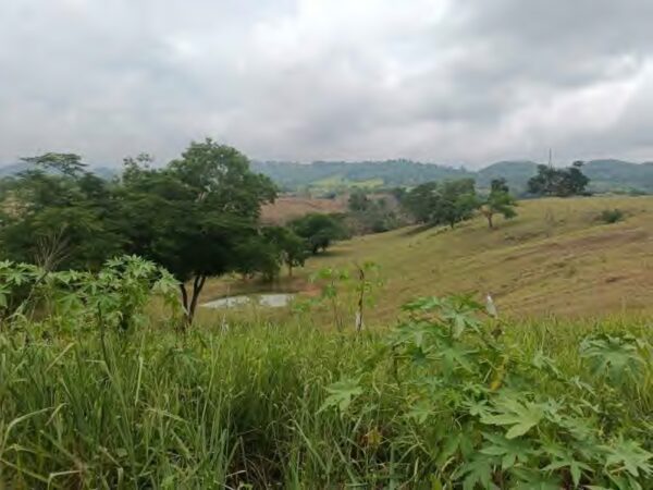 Terreno en venta Poza Rica Veracruz. - Imagen 3